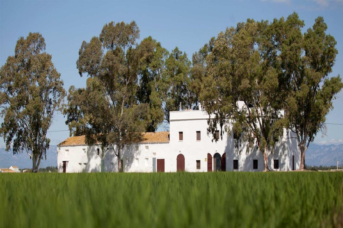 Villa Mas Illa de Riu Sant Jaume d'Enveja Exterior foto