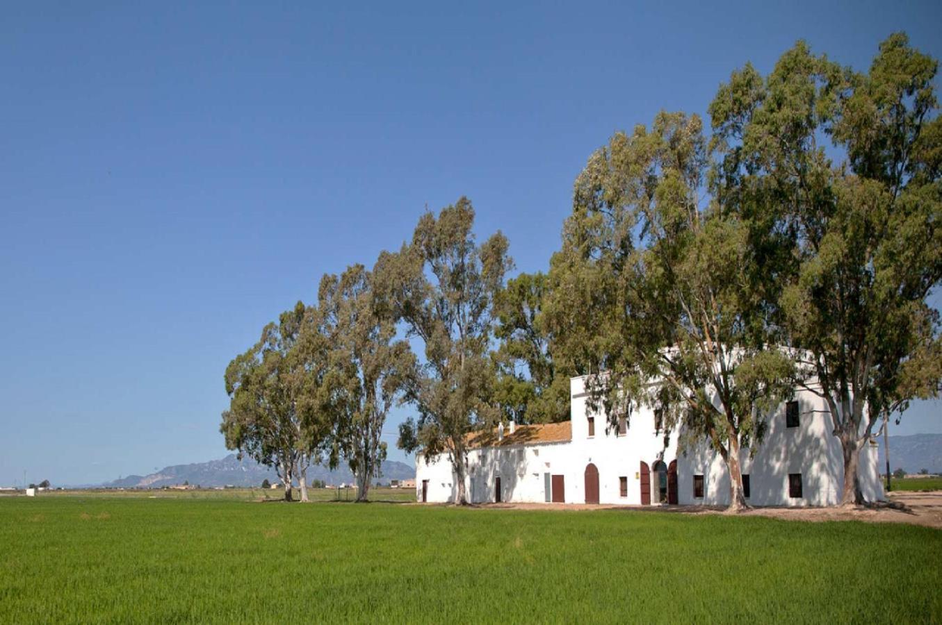 Villa Mas Illa de Riu Sant Jaume d'Enveja Exterior foto
